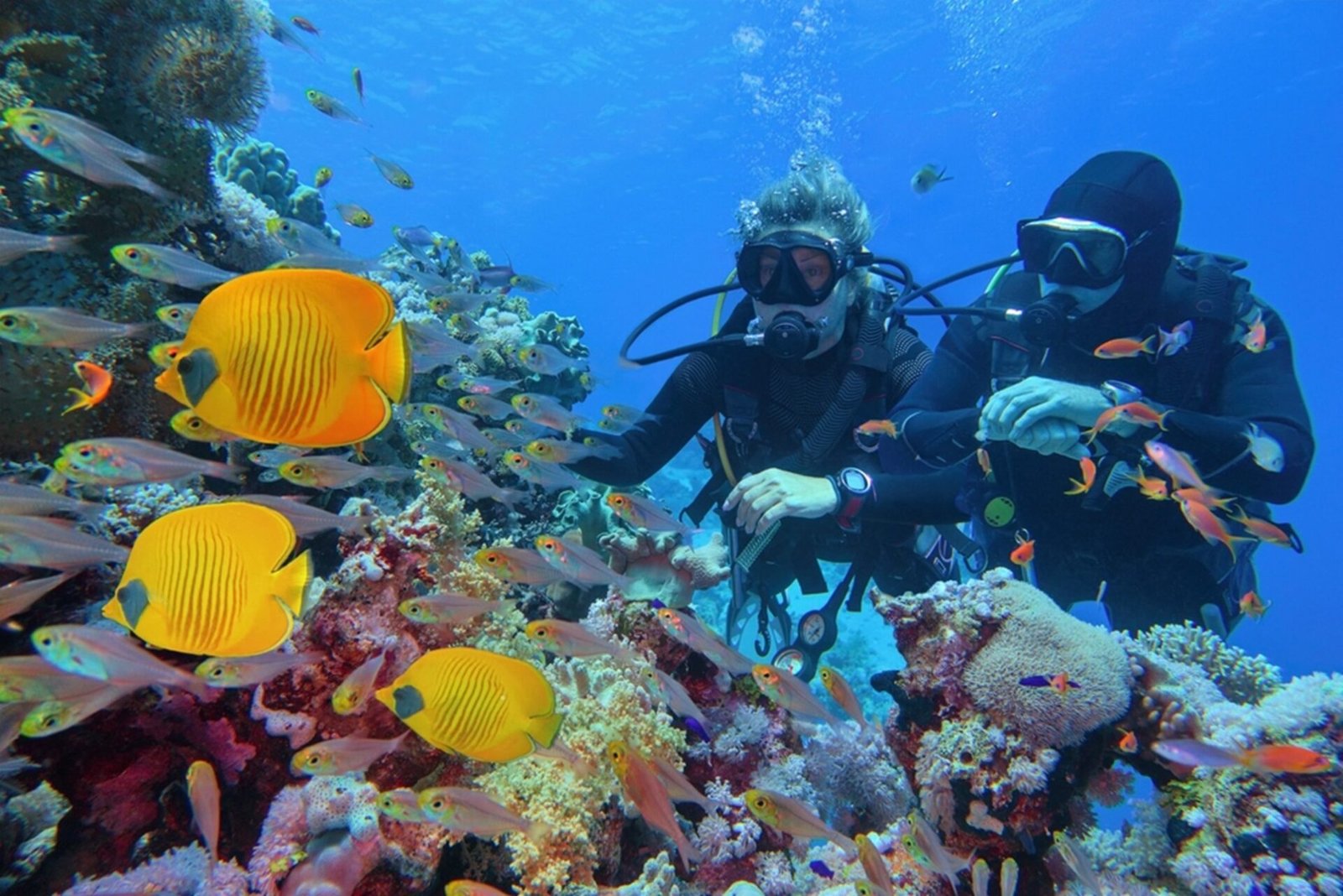 diving Sharm El Sheikh
