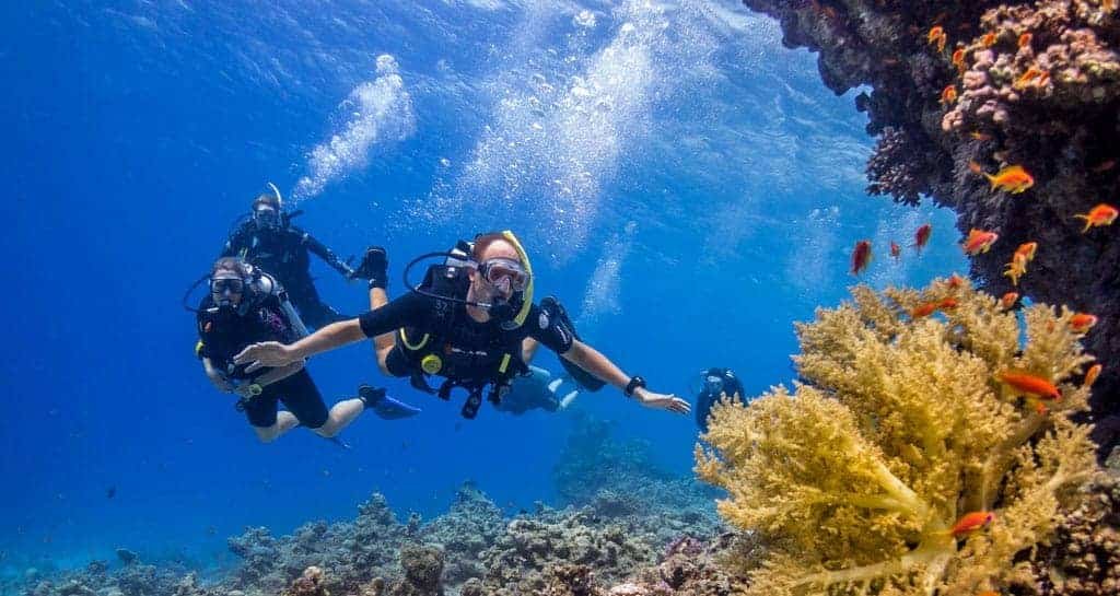 Red sea diving in Hurghada