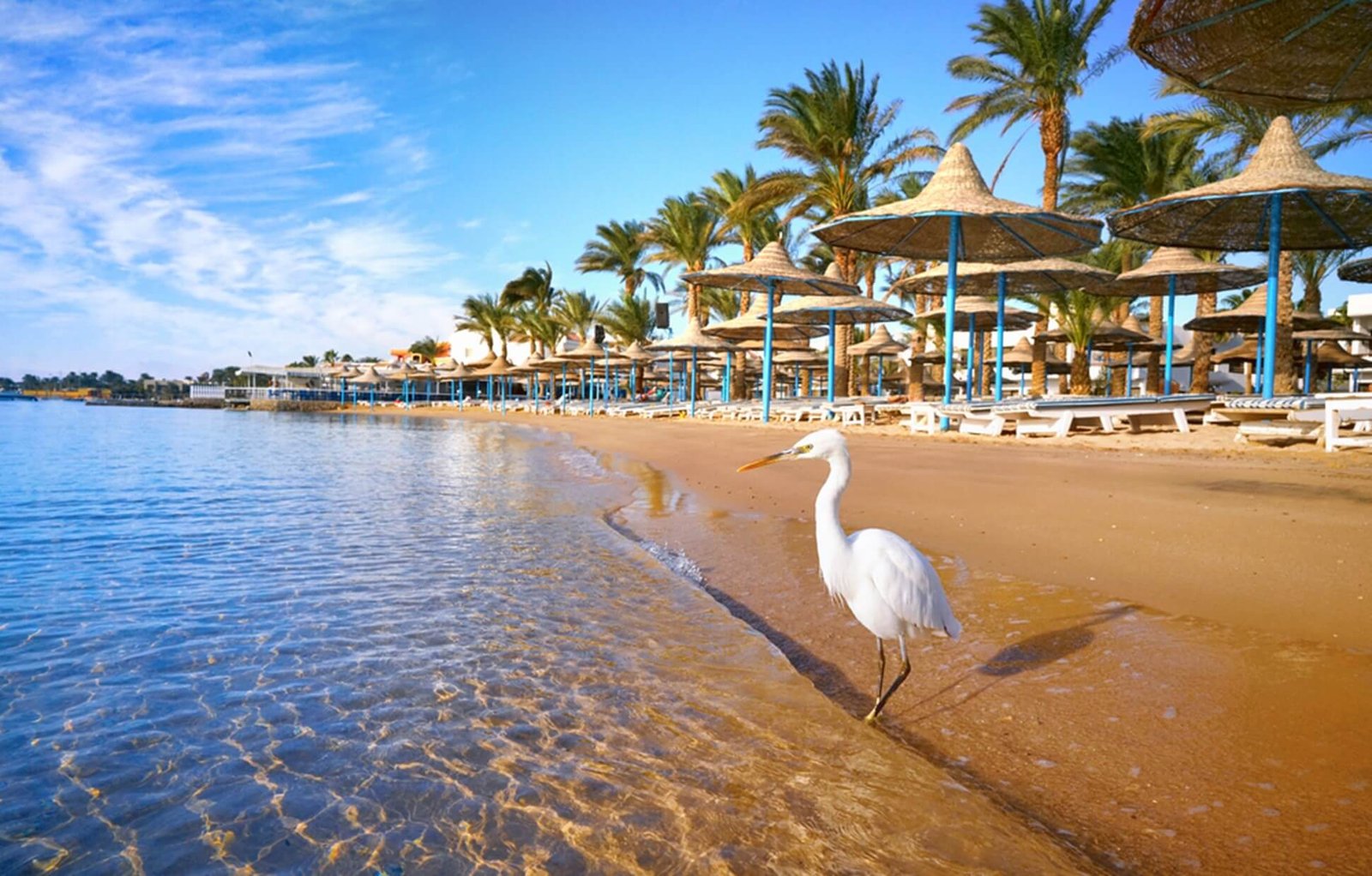 Top 5 attractions in Hurghada