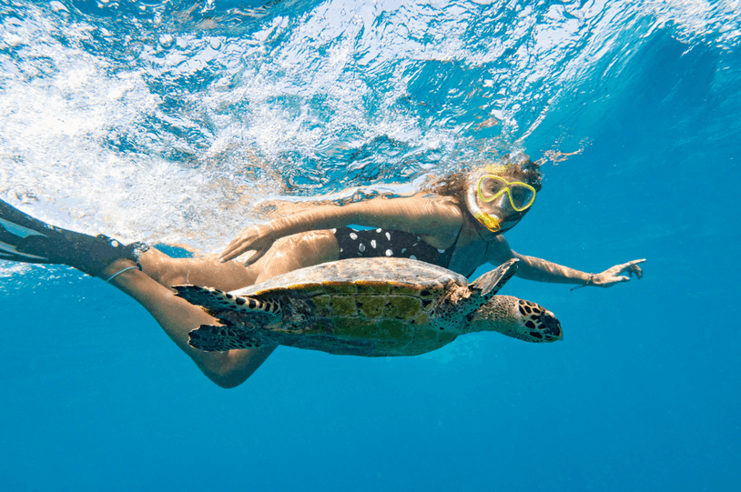 why-marsa-alam-is-egypt