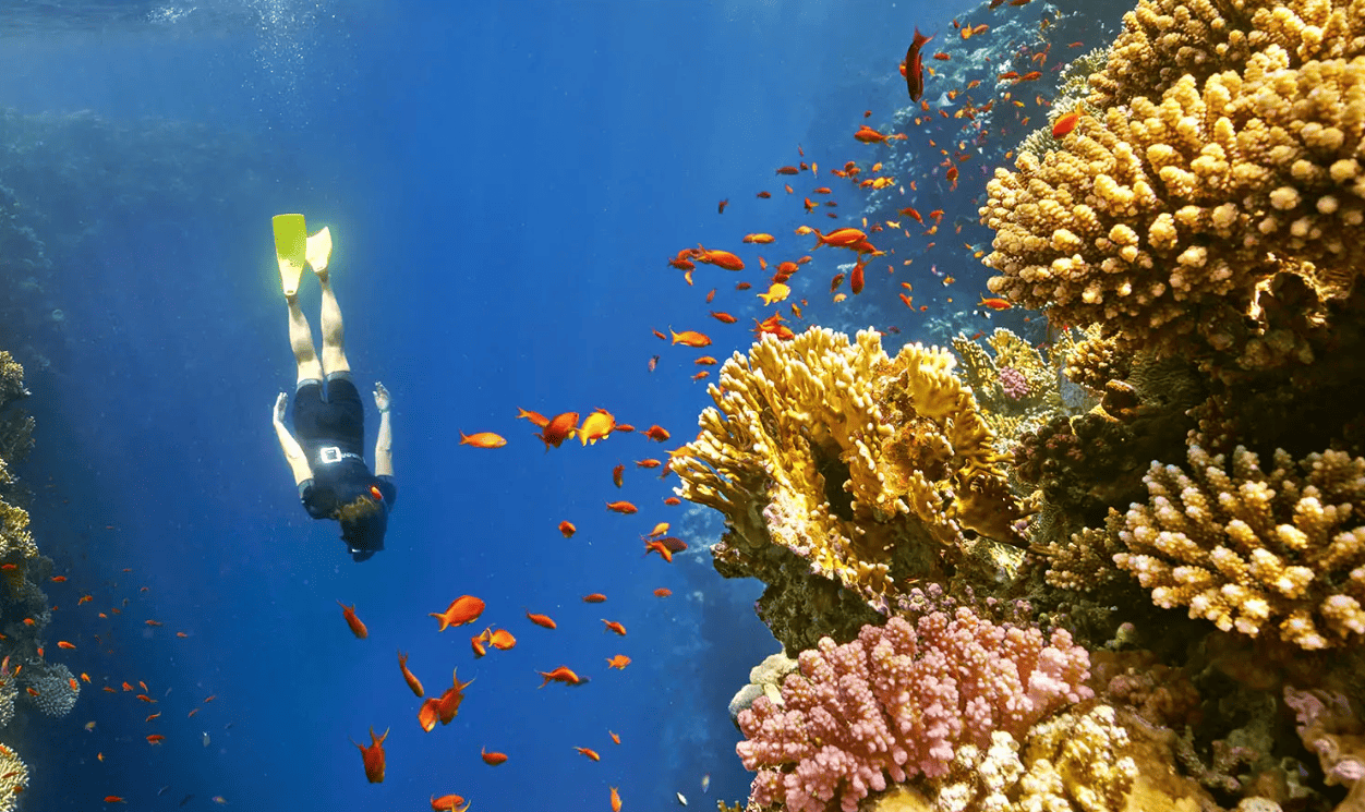 Why Dahab city is one of Egypt’s most relaxed seaside destinations